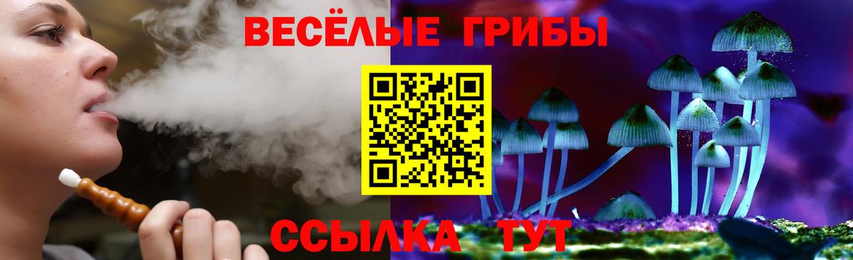 Псилоцибиновые грибы Magic Shrooms  Галлюциногенные грибы Cubensis  Ефремов  Вход с VPN 